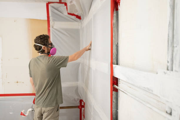 Best Mold-Related Health Consultation  in Tamalpais Homestead Valley, CA