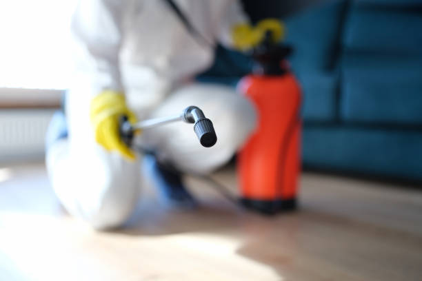 Best Airborne Mold Testing  in Tamalpais Homestead Valley, CA
